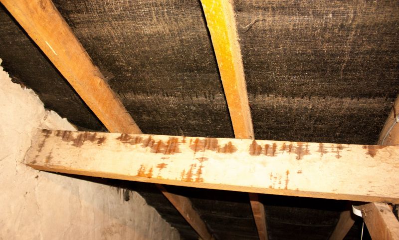 Attic Water Damage Repair in Santa Rosa, CA